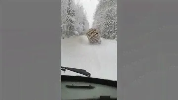 Лесовоз перевернул прицеп с лесом.